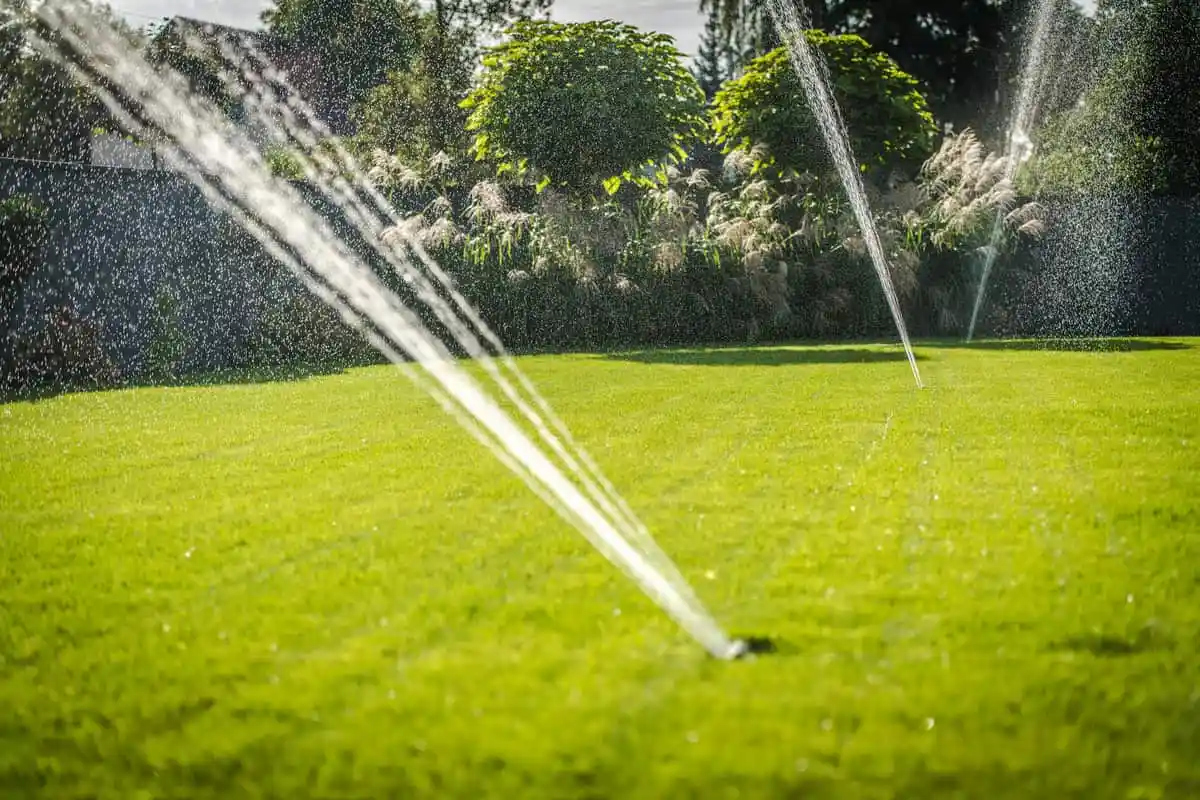 Professional Irrigation